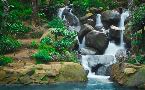 Destinasi wisata baru ini dinamakan dengan mata air cipelang yang beralamat di kecamatan conggeang, kabupaten sumedang, jawa barat. Harga Tiket Masuk Kampoeng Ciherang Sumedang Maret 2021 ...