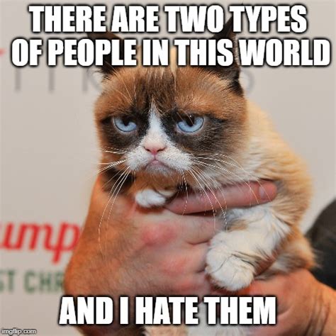 Gallery The Best ‘grumpy Cat Memes Of All Time Nbc4 Wcmh Tv