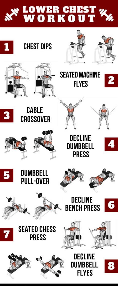Best Exercises For Your Lower Chest To Get That Nice Shape Chest