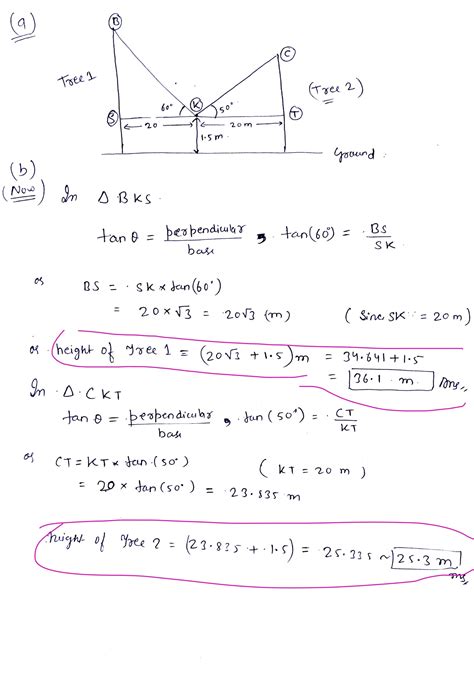 [Solved] 5. While standing exactly halfway between two tall trees