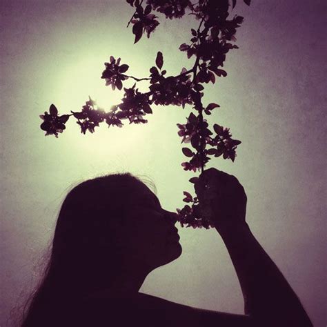 How To Take Stunning Silhouette Photos With Your Iphone Silhouette