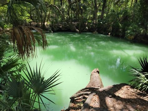 Green Springs Park Deltona Florida Top Brunch Spots