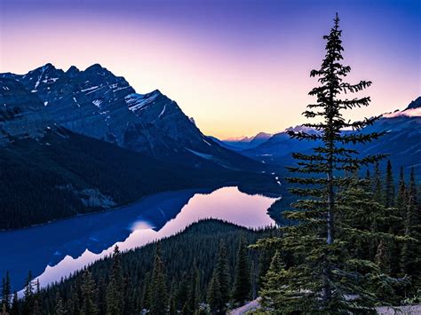 Summer Peyto Lake Banff Park Sunset Alberta Canada 5k Preview