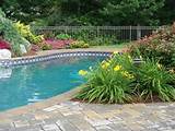 Pool Landscaping Supplies Photos