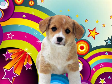 48 Puppies Wallpapers Free Download