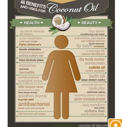 The Amazing Benefits Of Coconut Oil Infographic Video Musely