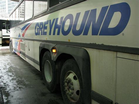 Greyhound Bus Driver To Occupy Group Get Off The Bus Texas Monthly