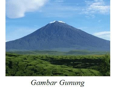 Kenampakan Alam : Ciri, Jenis, Gambar, Contoh, Materinya