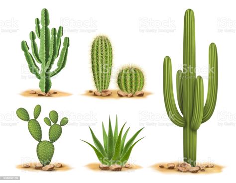 Si que sobrevivirá y además estará muy a gustito. 【ダウンロード可能】 岩 イラスト フリー - JPIrasuton