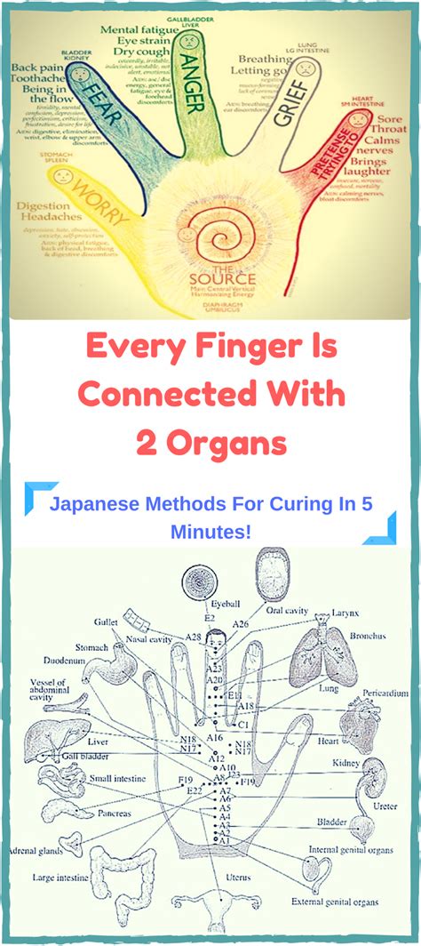 every finger is connected with 2 organs japanese methods for curing in 5 minutes reflexology