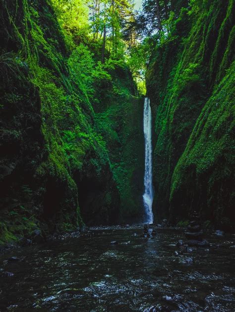 Oneonta Gorge Waterfall Minutes Outside Downtown Portland Photorator