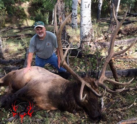 Are you ready to start your colorado elk hunting experience? Colorado Archery OTC DYI Elk hunt for three with lodging