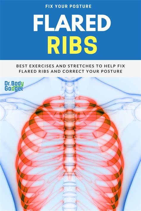 Incredible How To Fix Rib Flare Exercises Ideas Rawax