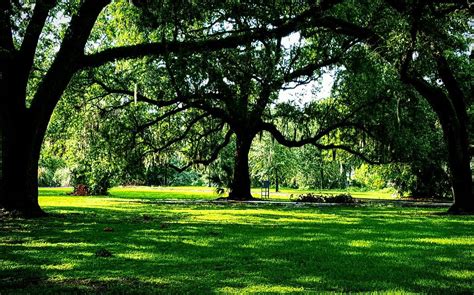 City Park New Orleans Aktuell Für 2022 Lohnt Es Sich Mit Fotos