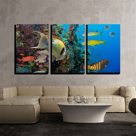 Wall26 3 Piece Canvas Wall Art Colorful Underwater