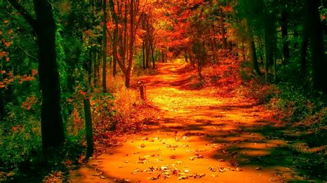 44 Beautiful Fall Scenery