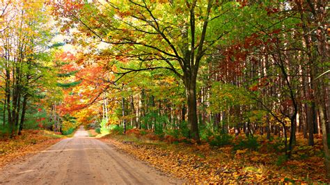 Best Scenic Fall Drives In Michigan For Stunning Color And Views Fall