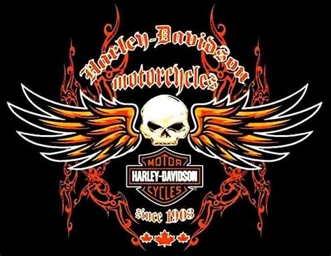 Harley Davidson Skulls Harley Davidson Decals Harley Davidson Crafts