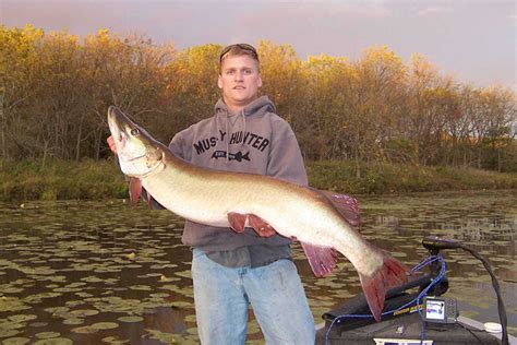 Maybe you would like to learn more about one of these? Best Northern Pike Fishing In Illinois - Unique Fish Photo