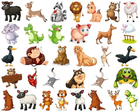 Gran Conjunto De Animales De Dibujos Animados Una Jirafa Un León Un