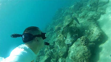 Some of kapolei's best snorkeling might be kapo point beach, also called electric beach, for the power plant that funnels warm water into the ocean, drawing marine life that basks in the balmy currents. Snorkeling at Electric Beach - Tues. June 5th, 2012 - YouTube