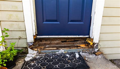 5 Ways To Determine If Your Wood Entry Door Frame Is Rotting