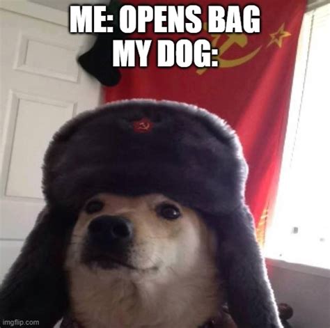 Doggo In Soviet Russia Imgflip