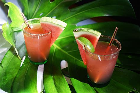 Gastronomista Watermelon Chili Margarita