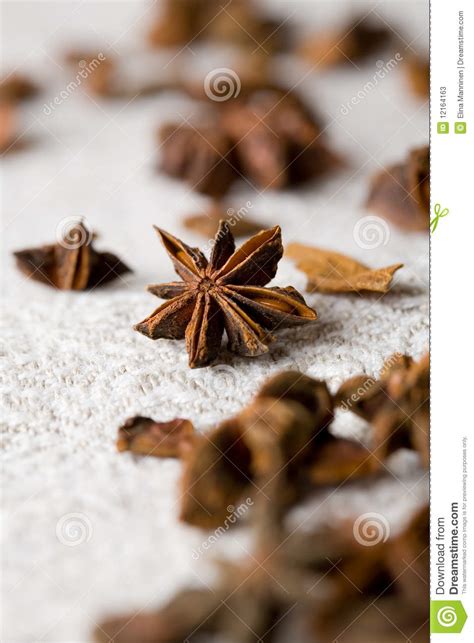 Aromatic Star Aniseed Stock Image Image Of Decoration 12164163
