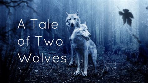 A Tale Of Two Wolves