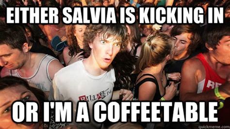 Either Salvia Is Kicking In Or Im A Coffeetable Sudden Clarity