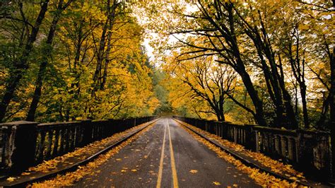 Fall Road Wallpaper Wallpapersafari