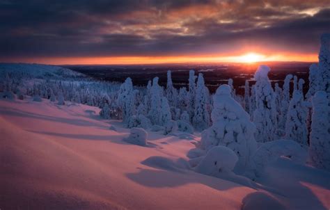 Wallpaper Winter Forest Snow Trees Sunset The Snow Finland Images