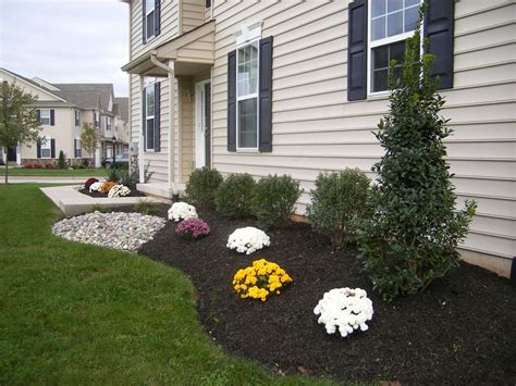 Just choose trees that are thin or not too leafy to still have a picture of your facade. backyard | Townhouse landscaping, Townhouse garden, House ...