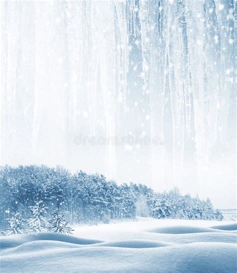 Frozen Winter Forest With Snow Covered Trees Stock Image Image Of