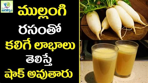 They are actually members of the cruciferous vegetable family so eat the greens. Health Benefits of Radish - Mana Arogyam Telugu Health ...