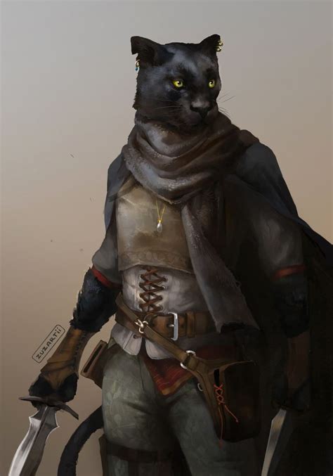 Pin By Jacky Benjamin Tollestrup On Tabaxi Ideas Character Art