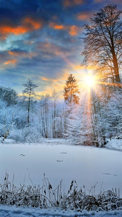 1080x1920 Sunbeams Landscape Snow In Winter Trees 4k Iphone 76s6 Plus