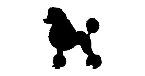 Download Toy Poodle Silhouette at GetDrawings | Free download