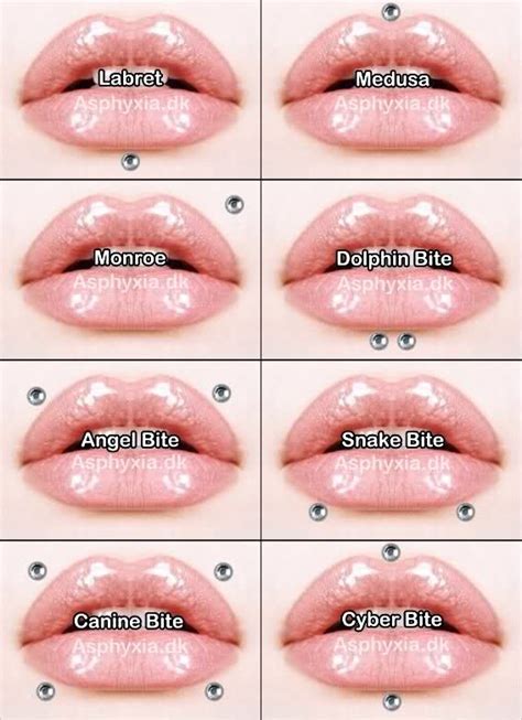 This type of piercing is done. lip piercing names | Ideias para piercings, Piercings ...