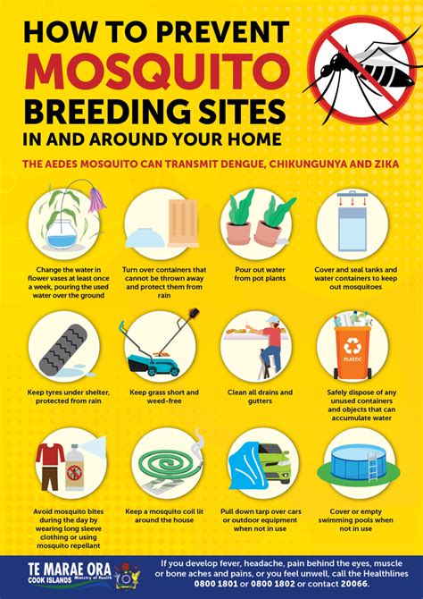 How To Prevent Mosquito Breeding Sites Te Marae Ora Cook Islands Ministry Of Health