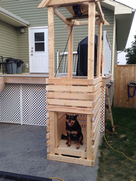 Buying used equipment online has its own set of risks. Dog elevator for my 10yr old pup who's having back surgery. Under $400 to build. We used 2x4 ...