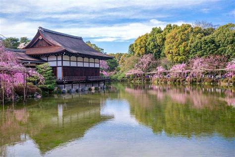Cherry Blossoms In Kyoto When And Where To See Sakura In Spring 2020