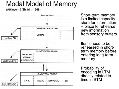 Looks like you've clipped this slide to already. PPT - Memory PowerPoint Presentation, free download - ID ...