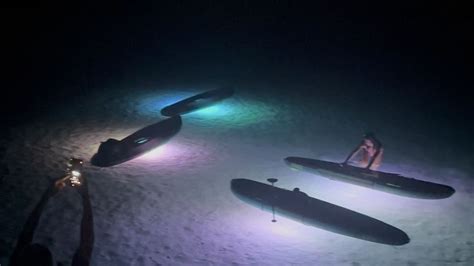 Golfo Aranci Sup Avec Les Dauphins Sous Les Toiles Getyourguide