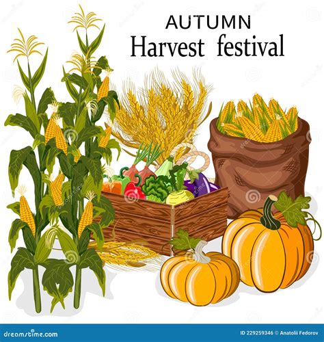 Autumn Harvest In Vector Illustration Stock Vector Illustration Of