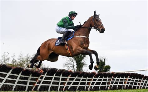 get blue lord to win the irish arkle novice chase at leopardstown boosted to huge 14 1 with 888sport