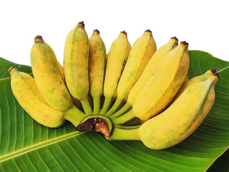 Fruit Banana Banana Art
