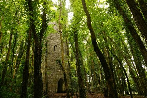 Ancient Tower In Ard Na Gaoithe Forest Cong Ireland Pics