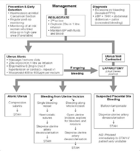 Management Of Bleeding After Caesarean Section Stah Sub Total